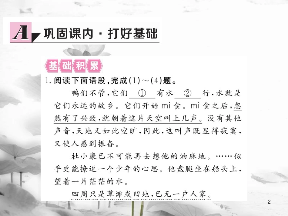 安徽省九年级语文上册 第三单元 10 孤独之旅习题讲评课件 新人教版[共25页]_第2页