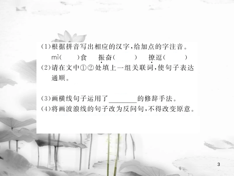 安徽省九年级语文上册 第三单元 10 孤独之旅习题讲评课件 新人教版[共25页]_第3页