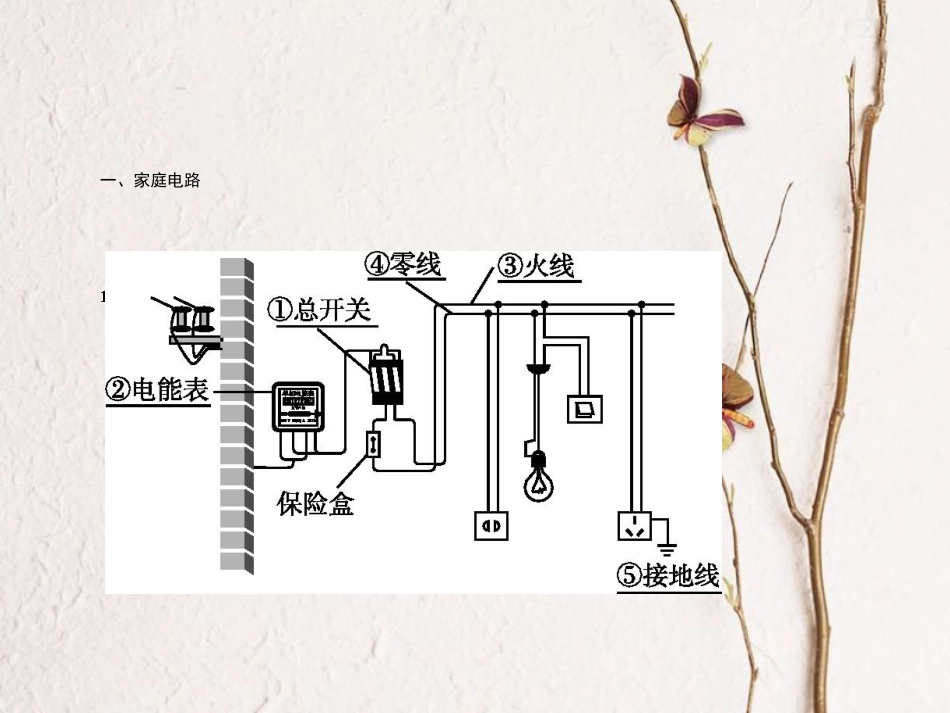 中考物理 考前考点梳理 第19讲 生活用电精讲课件_第2页