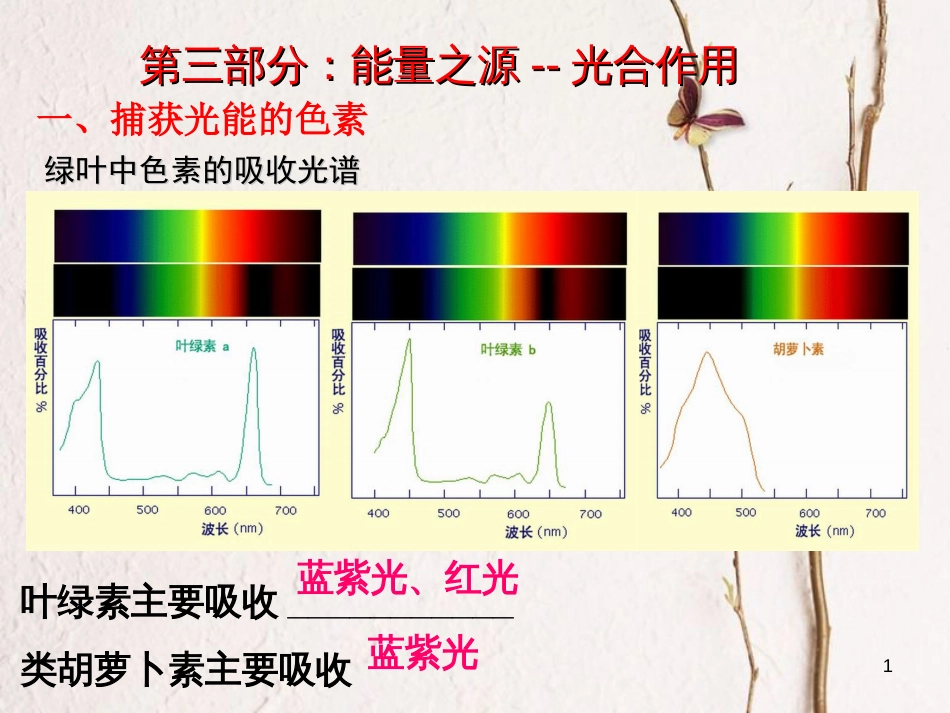 陕西省西安市高考生物 细胞代谢专题 第三部分 能量之源--光合作用复习课件[共33页]_第1页