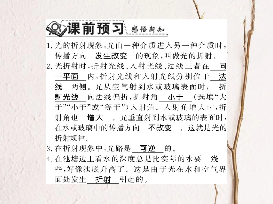 八年级物理上册 3.4 探究光的折射规律习题课件 （新版）粤教沪版_第2页