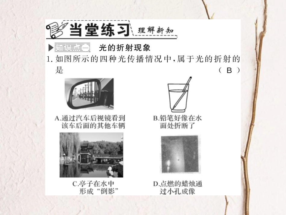 八年级物理上册 3.4 探究光的折射规律习题课件 （新版）粤教沪版_第3页