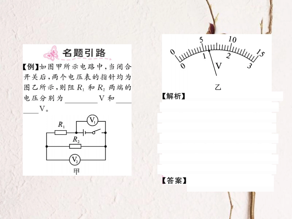 八年级科学上册 4.5.2 研究串、并联电路的电压特点习题课件 （新版）浙教版[共14页]_第2页