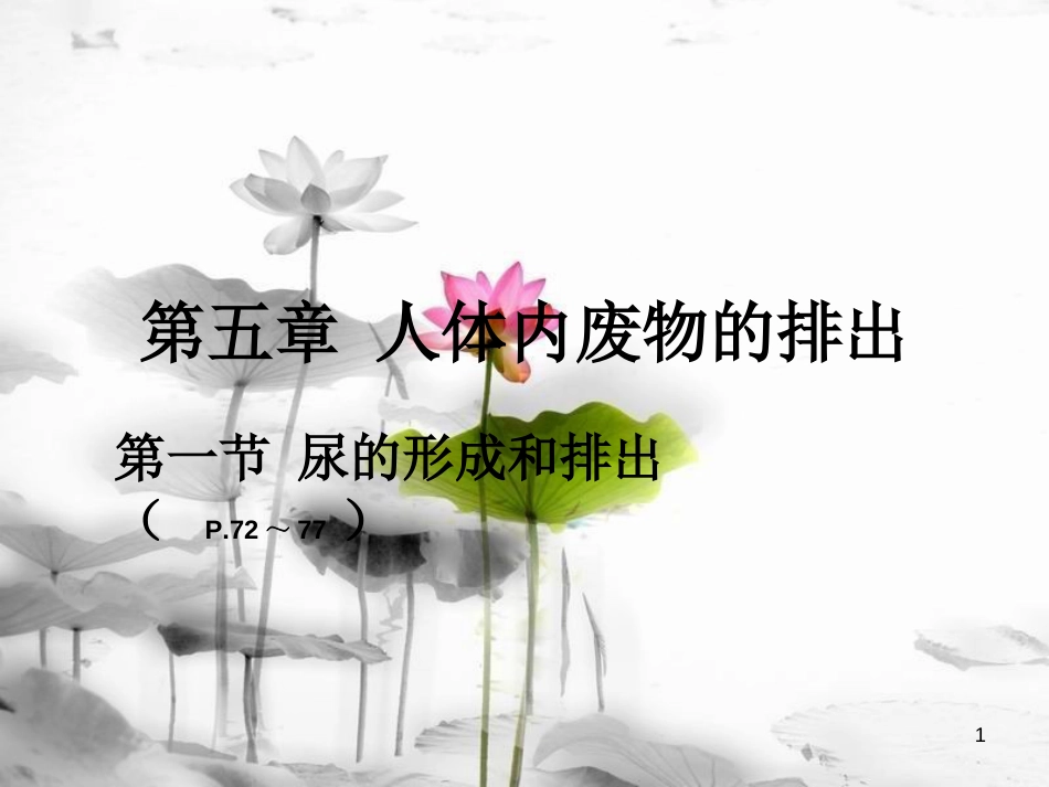 安徽省桐城市嬉子湖中心学校七年级生物下册 4.5 人体内废物的排出课件 （新版）新人教版[共13页]_第1页