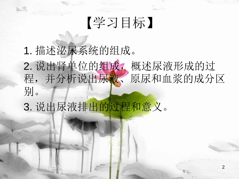安徽省桐城市嬉子湖中心学校七年级生物下册 4.5 人体内废物的排出课件 （新版）新人教版[共13页]_第2页
