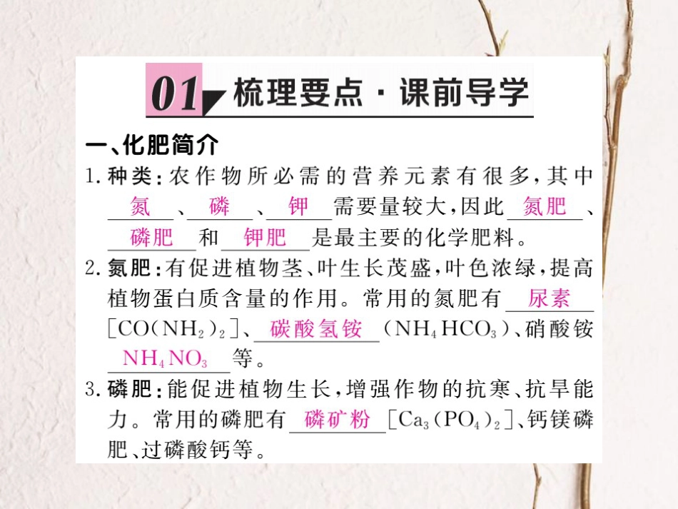 （贵州专）九年级化学下册 第十一单元 课题2 化学肥料复习课件 （新）新人教版_第2页