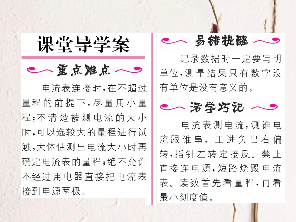 （黔西南地区）九年级物理全册 第15章 电流和电路 第4节 电流的测量习题课件 （新）新人教_第2页