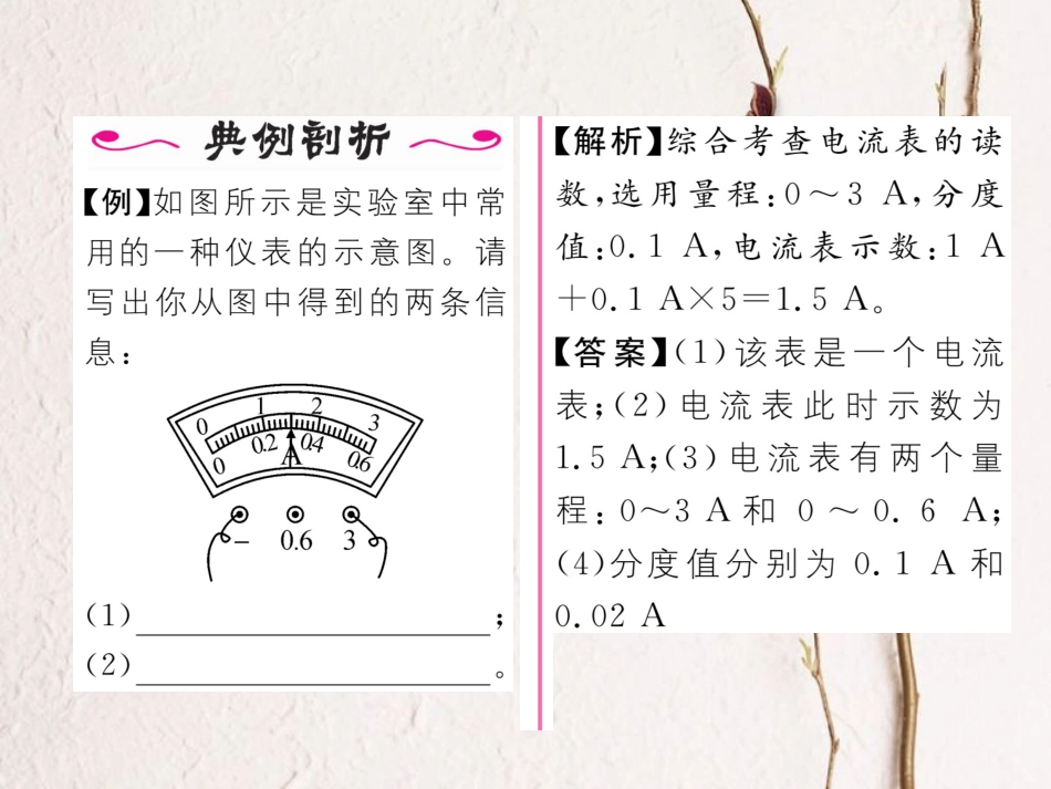 （黔西南地区）九年级物理全册 第15章 电流和电路 第4节 电流的测量习题课件 （新）新人教_第3页