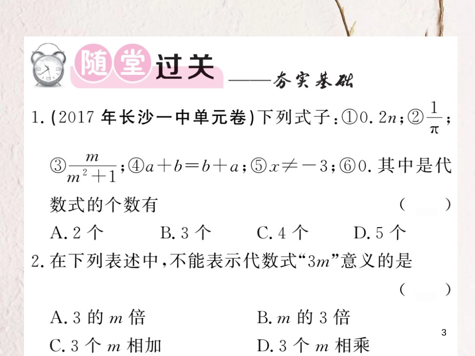 七年级数学上册 2.2 列代数式课件 （新版）湘教版_第3页