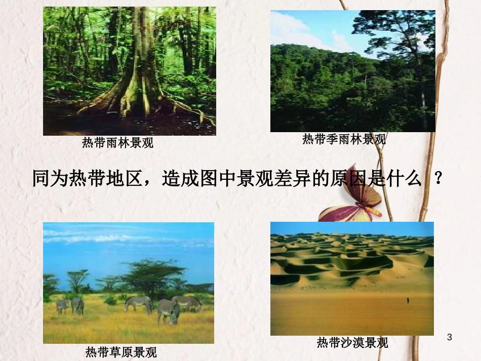江苏省铜山区七年级地理上册 第四节 世界主要气候类型课件 湘教版_第3页