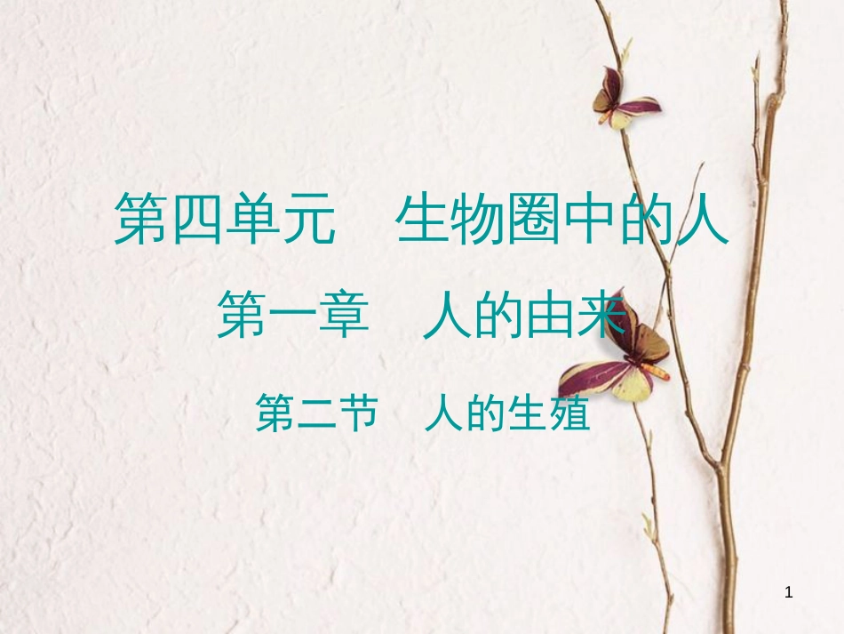 广东省七年级生物下册 第1章 第二节 人的生殖导练课件 （新版）新人教版_第1页