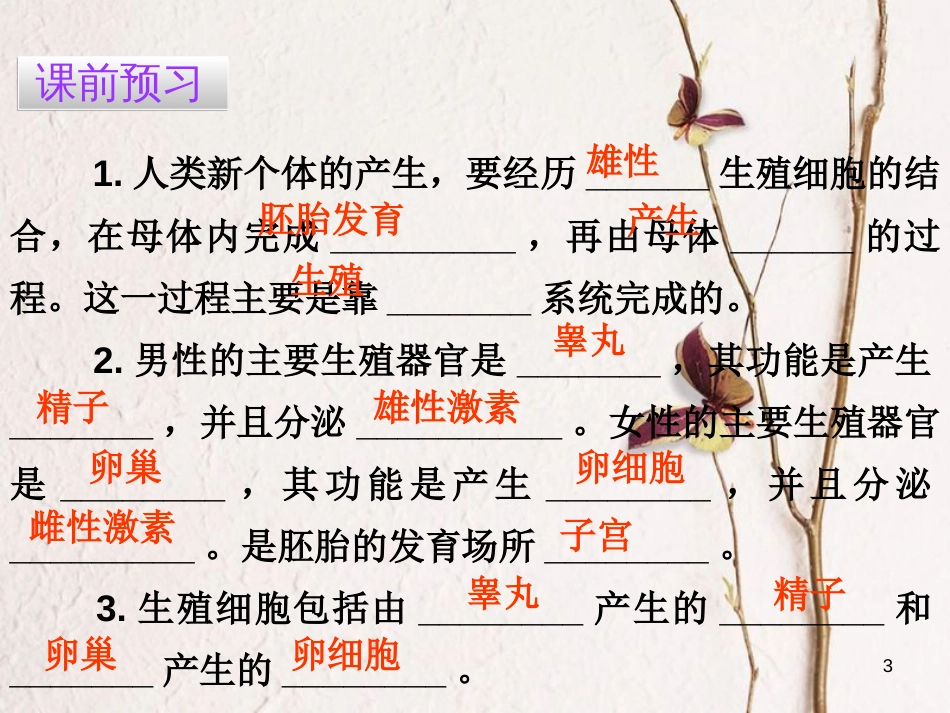 广东省七年级生物下册 第1章 第二节 人的生殖导练课件 （新版）新人教版_第3页