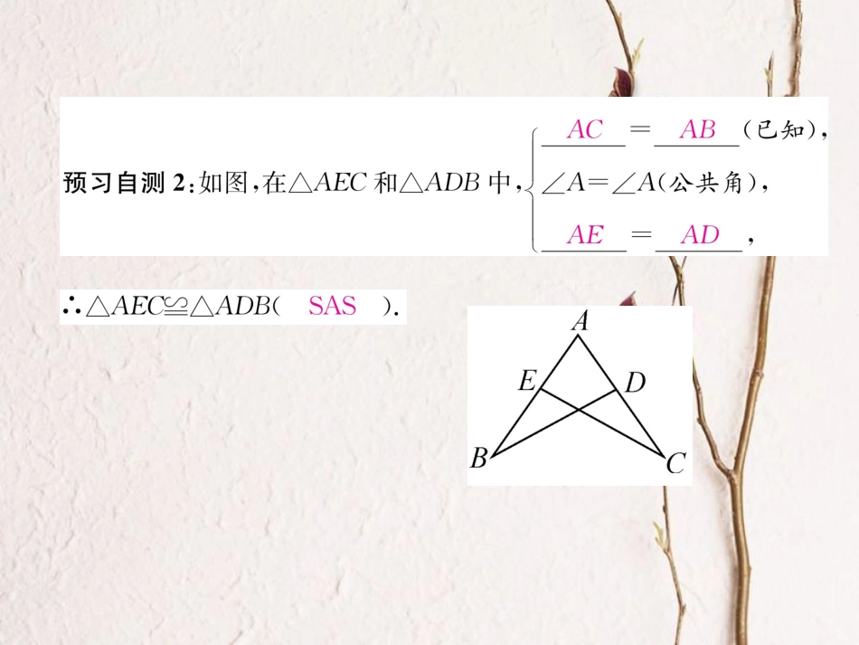 八年级数学上册 12.2 三角形全等的判定 第2课时 用“SAS”证三角形全等课件 （新版）新人教版[共22页]_第3页