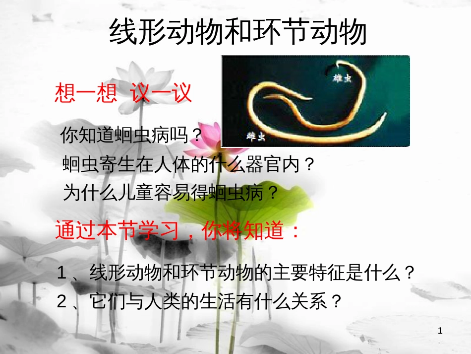八年级生物上册 5.1.2 线形动物和环节动物课件3 （新版）新人教版[共8页]_第1页