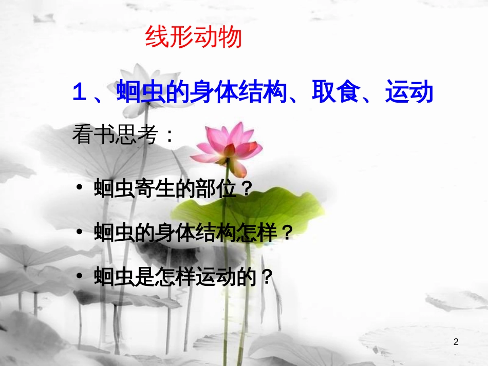 八年级生物上册 5.1.2 线形动物和环节动物课件3 （新版）新人教版[共8页]_第2页