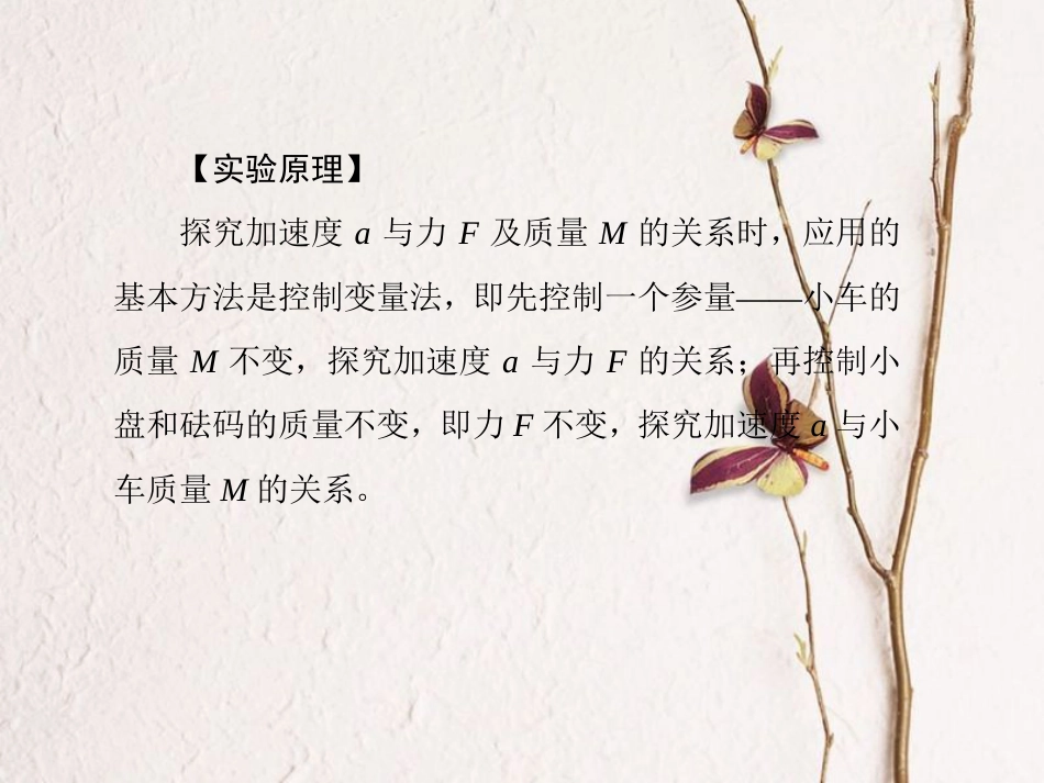 （新课标）高考物理一轮复习 第三章 牛顿运动定律 实验四课件_第2页