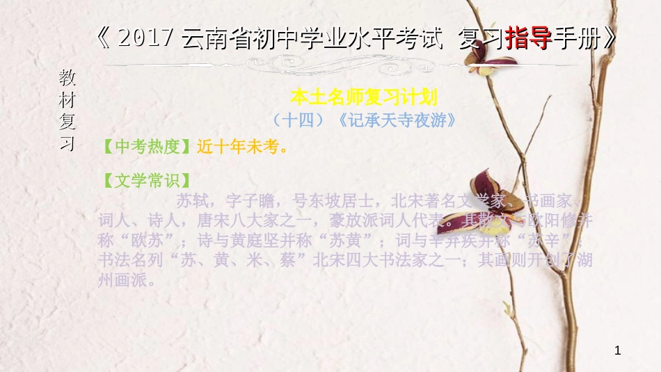 云南省中考语文 专题一 文言文阅读 本土名师复习计划（十四）《记承天寺夜游》复习课件_第1页