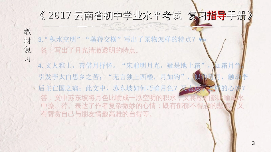 云南省中考语文 专题一 文言文阅读 本土名师复习计划（十四）《记承天寺夜游》复习课件_第3页