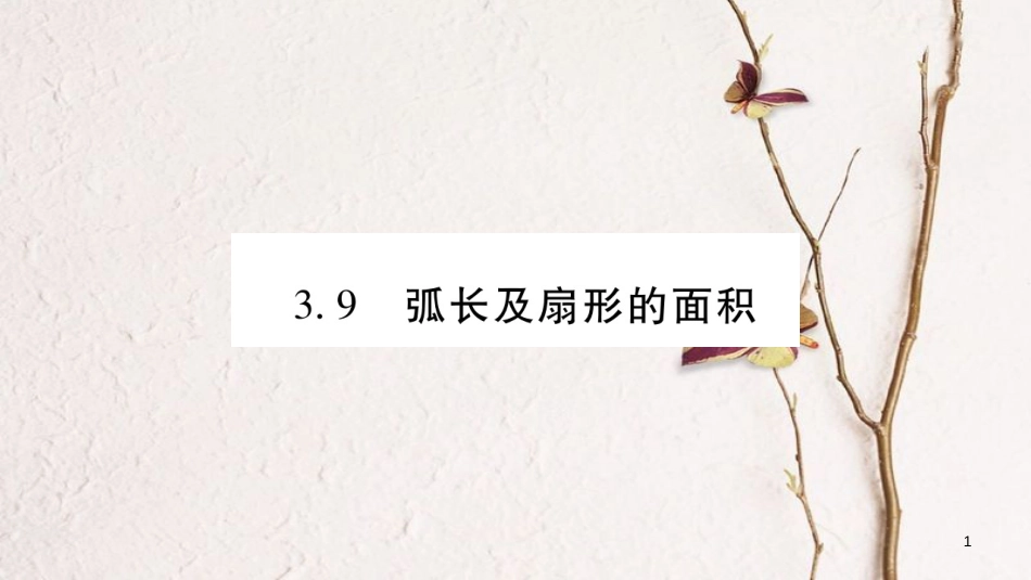 九年级数学下册 第三章 圆 3.9《弧长及扇形的面积》习题课件 （新版）北师大版_第1页