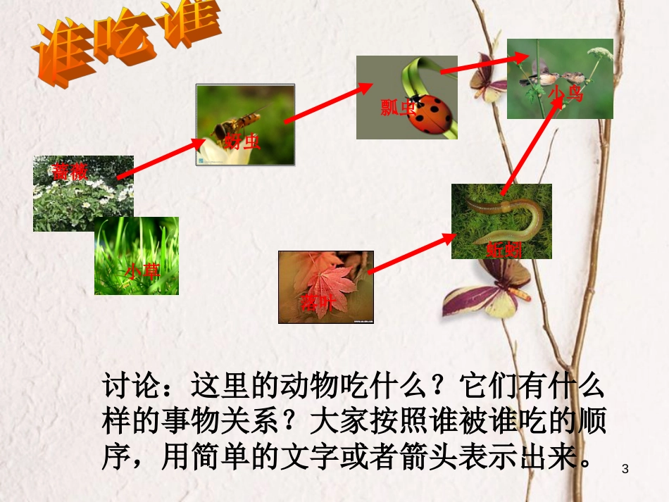 六年级科学上册 密切联系的生物界课件14 青岛版[共11页]_第3页