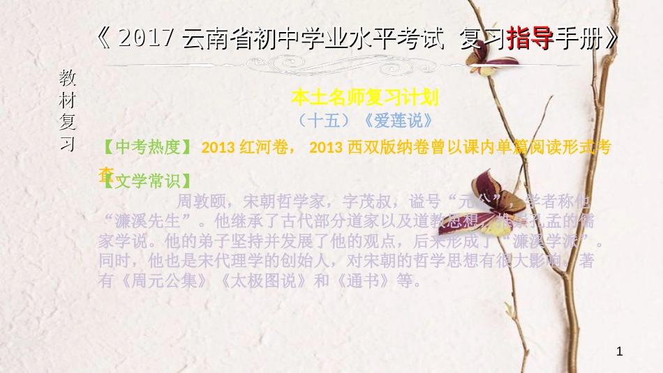 云南省中考语文 专题一 文言文阅读 本土名师复习计划（十五）《爱莲说》复习课件_第1页