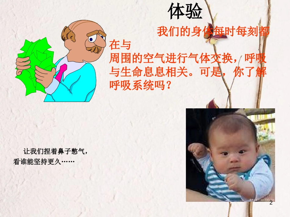 七年级生物下册 第四单元 第二章 第一节 呼吸道对空气的处理课件（2）（新版）新人教版[共26页]_第2页