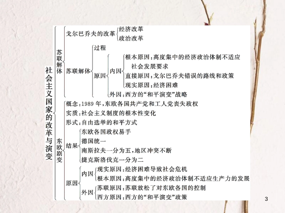 九年级历史下册 第五单元 社会主义国家的改革与演变综合复习课件 新人教版_第3页