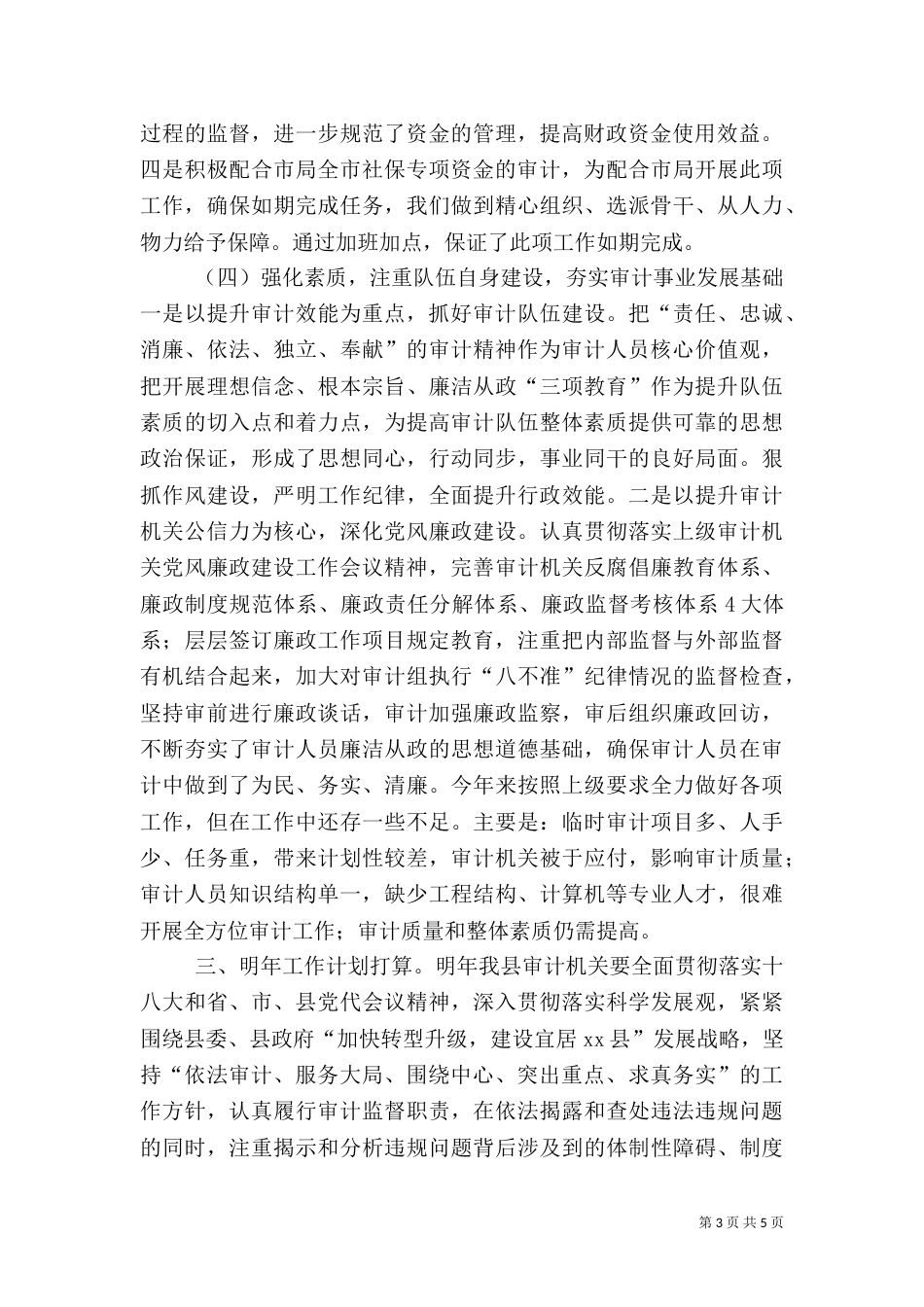 审计局年度审计工作总结（四）_第3页