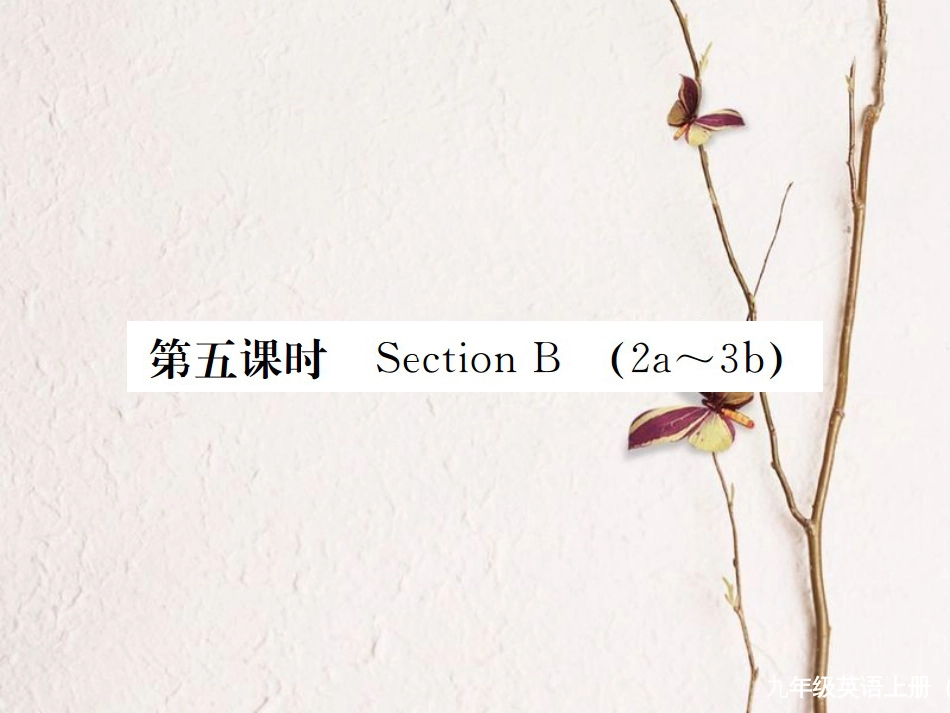 （河北专）九年级英语全册 Unit 9 I like music that I can dance to（第5课时）习题课件 （新）人教新目标版_第1页
