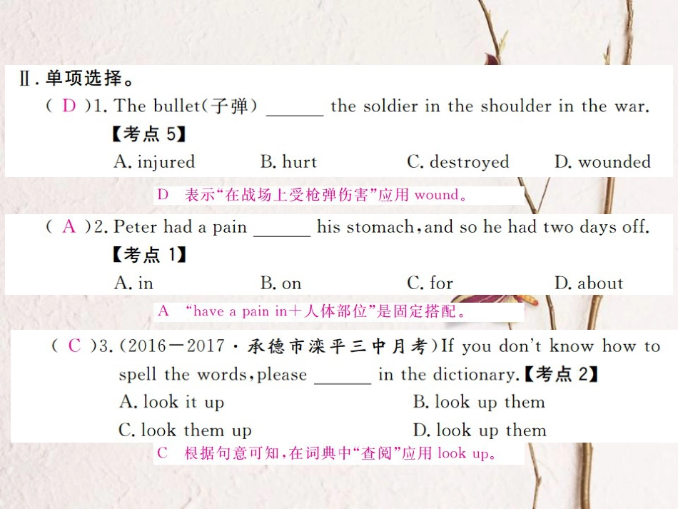 （河北专）九年级英语全册 Unit 9 I like music that I can dance to（第5课时）习题课件 （新）人教新目标版_第3页