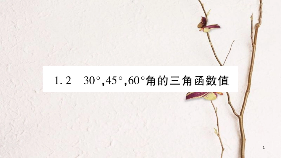 九年级数学下册 第一章 直角三角形的边角关系 1.2《30°,45°,60°角的三角函数值》习题课件 （新版）北师大版_第1页