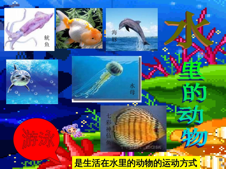 六年级科学上册 动物的运动课件3 青岛版[共18页]_第3页