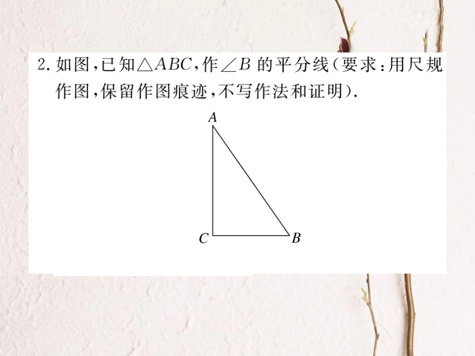 八年级数学上册 12.3 第1课时 角平分线的性质习题课件 （新版）新人教版_第3页