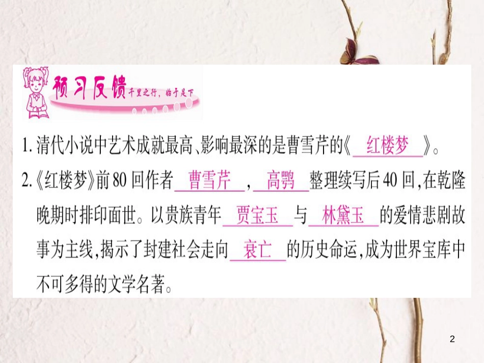 七年级历史下册 第三单元 明清时期 统一多民族国家的巩固与发展 第21课 清朝前期的文学艺术课件 新人教版_第2页