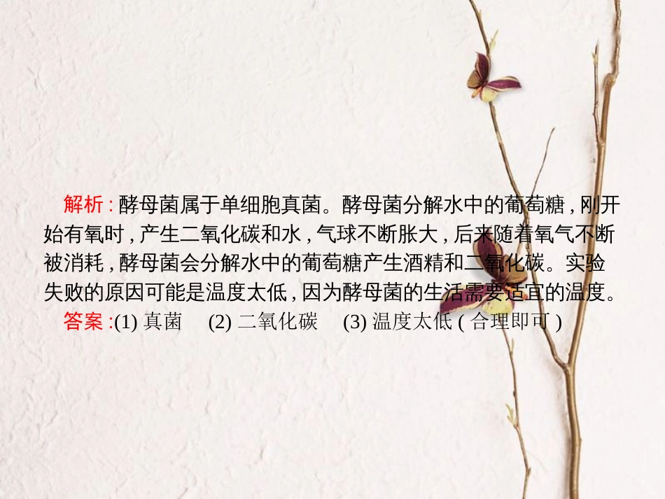 八年级生物下册 专题整合提升 生活中的生物技术课件 （新版）济南版_第3页
