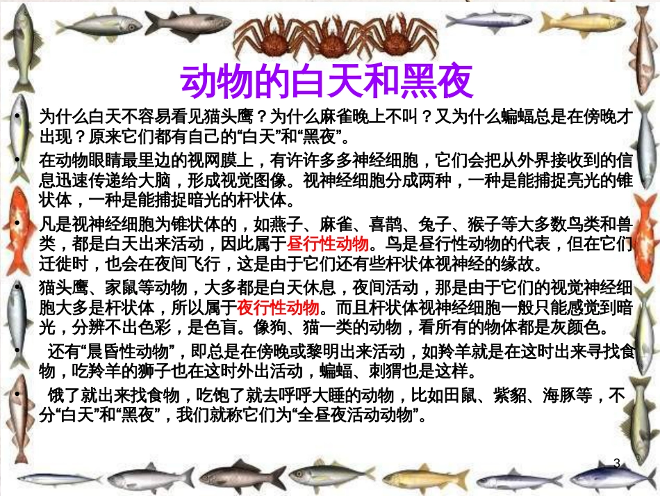 六年级科学上册 昼夜与生物课件7 青岛版[共8页]_第3页