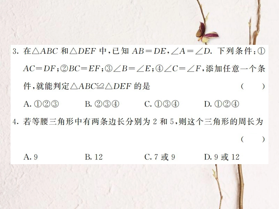 八年级数学上册 2 三角形综合测试卷课件 （新版）湘教版_第3页