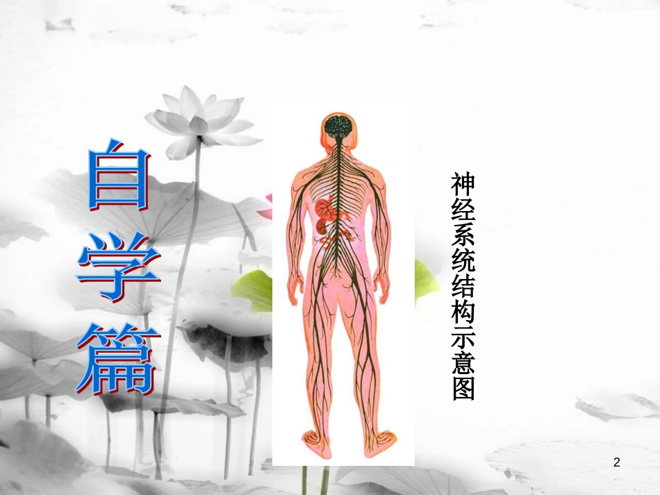 八年级科学下册 7.2 人体生命活动的神经调节课件 （新版）华东师大版[共14页][共14页]_第2页