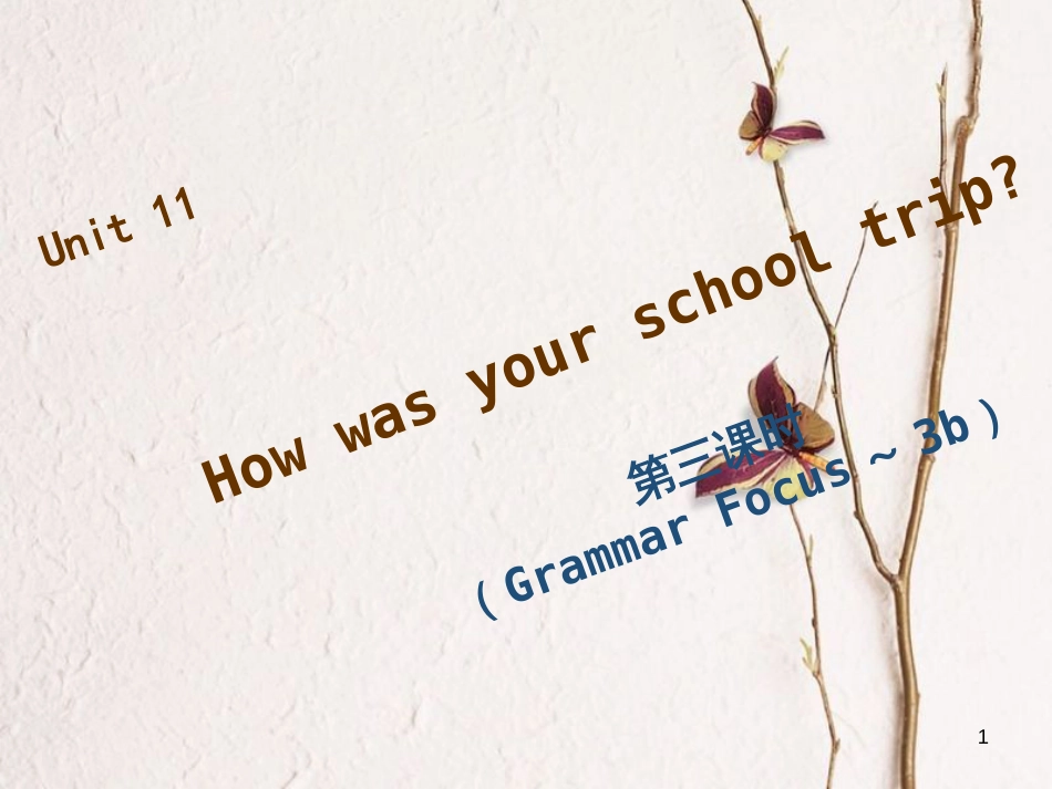 七年级英语下册 Unit 11 How was your school trip（第3课时）Grammar Focus-3c习题课件 （新版）人教新目标版_第1页
