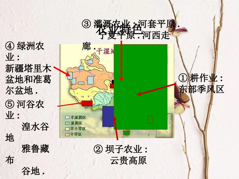 辽宁省抚顺市第一中学学年高一地理 世界地理 7中国农业课件1_第3页