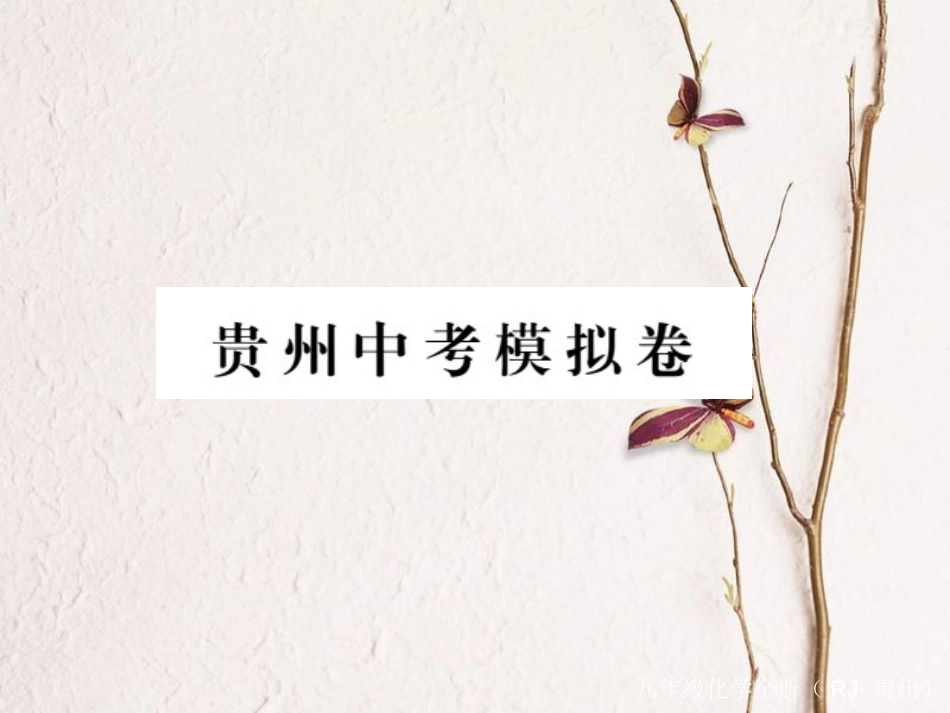（贵州专）中考化学复习 中考模拟卷课件_第1页