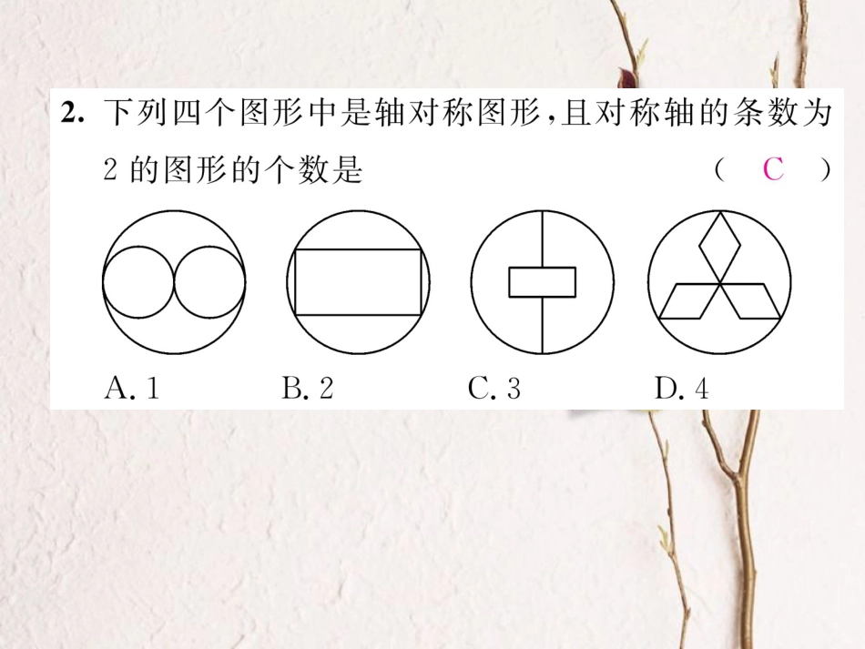 八年级数学上册 13 轴对称重难点分类突破课件 （新版）新人教版[共23页]_第3页