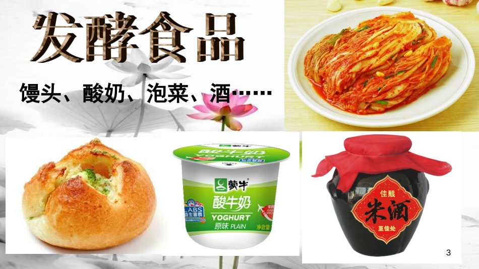 八年级生物下册 第七单元 第一章 第一节 发酵技术课件 （新版）济南版[共17页]_第3页