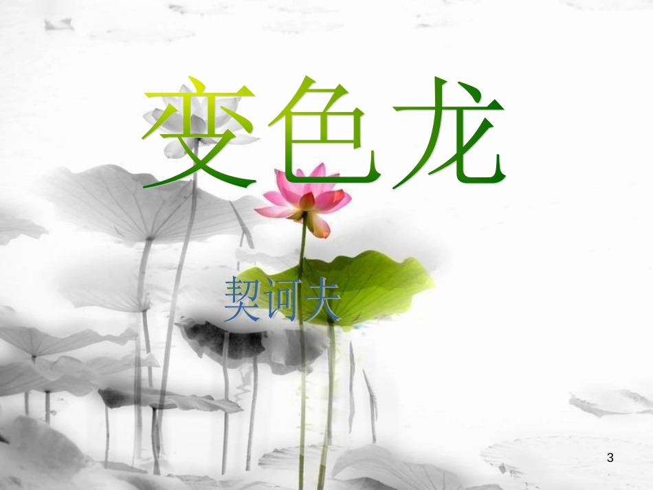 安徽省合肥市育英学校九年级语文下册 第二单元 第7课《变色龙》课件 新人教版_第3页