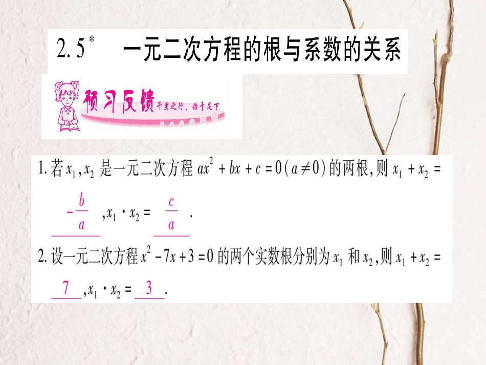 九年级数学上册 2.5 一元二次方程的根与系数的关系习题课件 （新版）北师大版_第1页