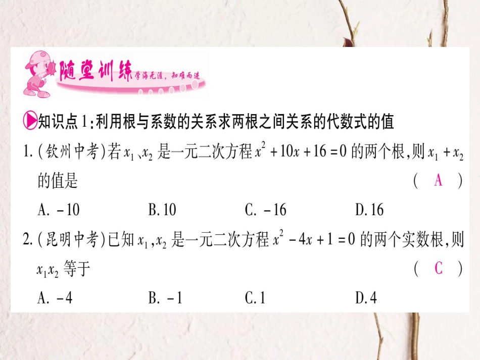 九年级数学上册 2.5 一元二次方程的根与系数的关系习题课件 （新版）北师大版_第2页