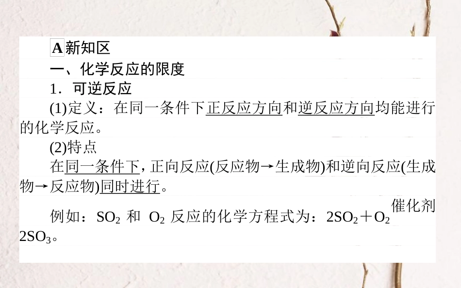 高中化学 第二章 化学反应与能量 第三节 化学反应的速率和限度第2课时课件2 新人教版必修2_第3页