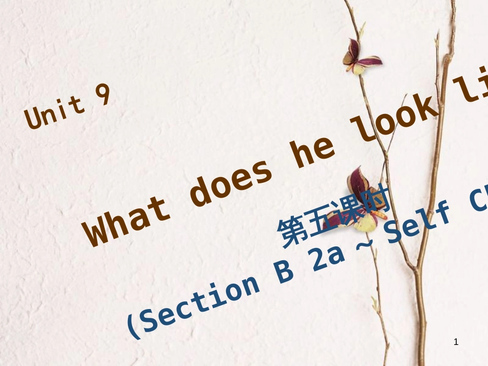 七年级英语下册 Unit 9 What does he look like（第5课时）Section B（2a-Self Check）习题课件 （新版）人教新目标版_第1页