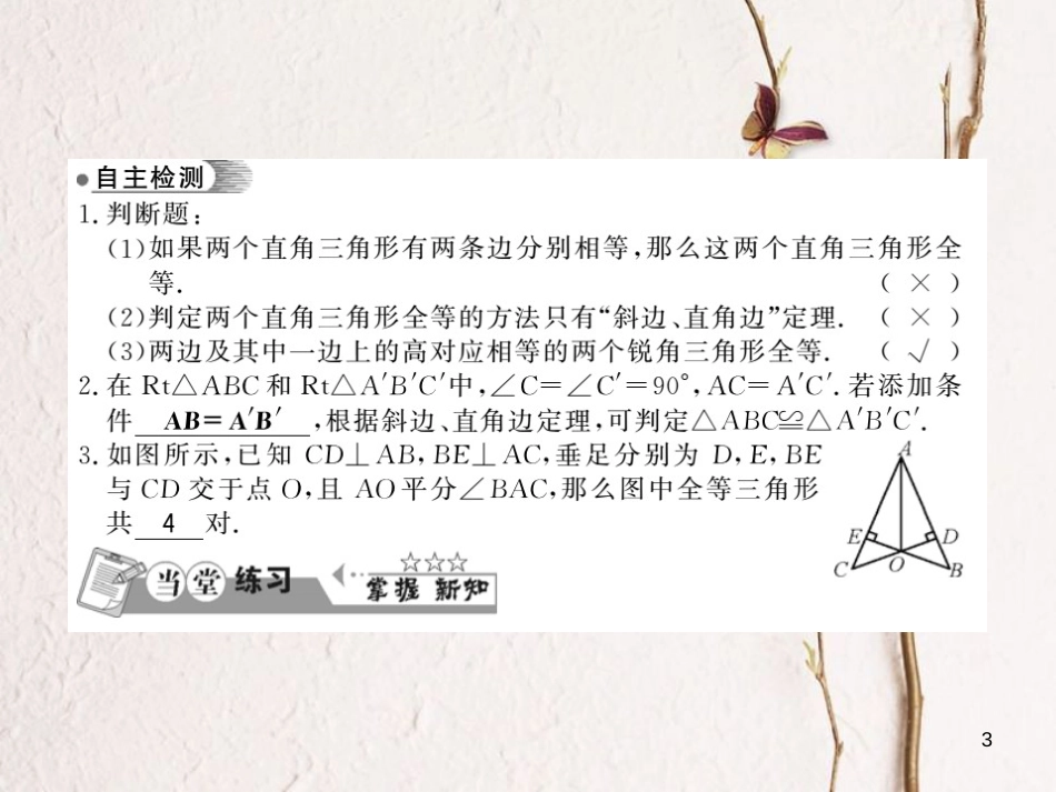 八年级数学下册 第1章 直角三角形 1.3 直角三角形全等的判定习题课件 （新版）湘教版_第3页