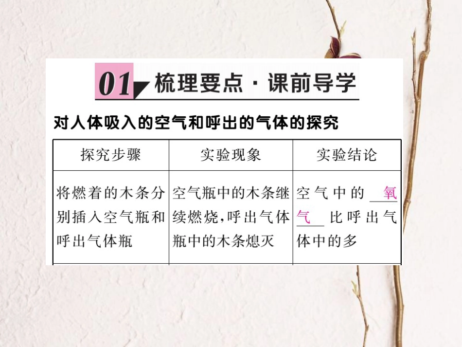 （贵州专）九年级化学上册 第一单元 课题2 第2课时 对人体吸入的空气和呼出的气体的探究复习课件 （新）新人教版_第2页